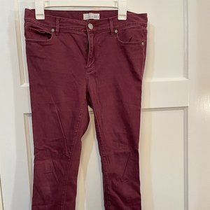 Loft maroon legging pants